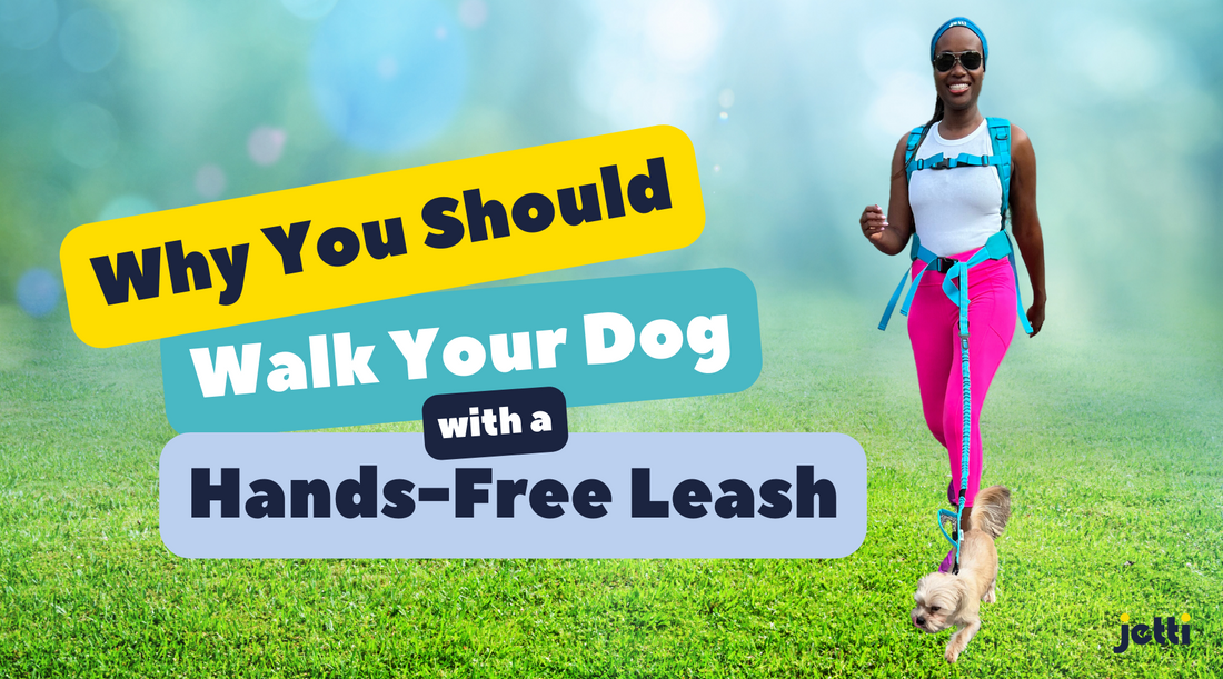 Why You Should Walk with a Hands-Free Leash
