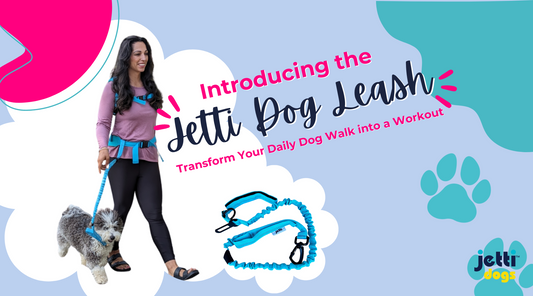 Introducing the Jetti Dog Leash