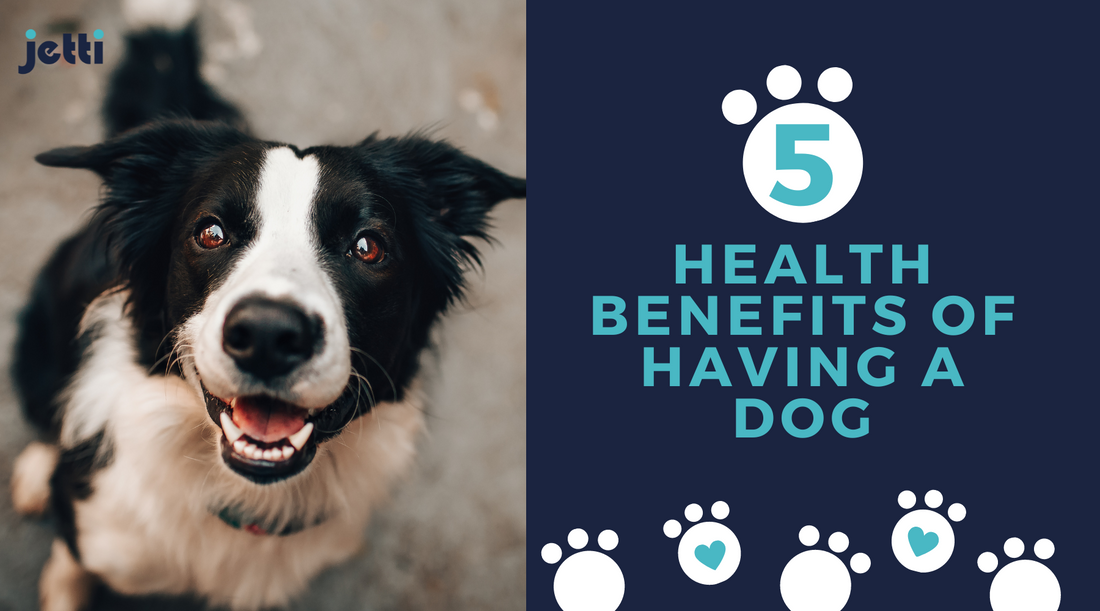 5 Health Benefits of Having a Dog