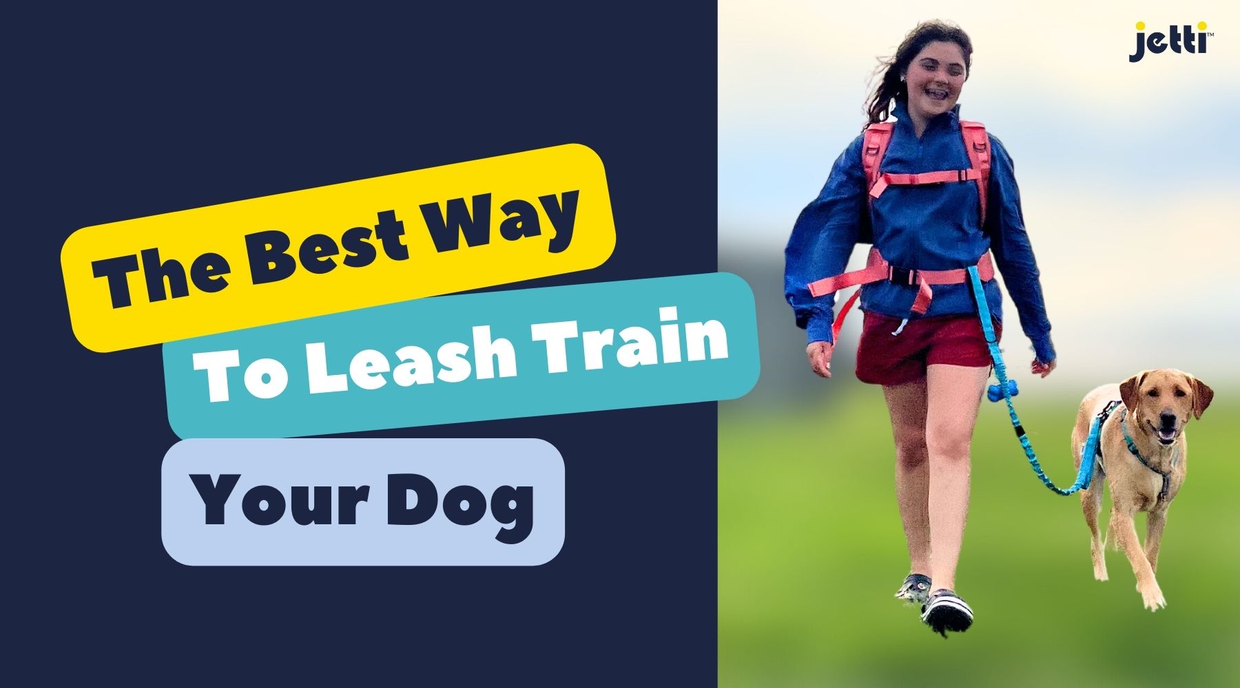 The Best Way to Leash Train Your Pup – Jetti